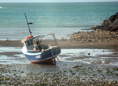 boat abercastle