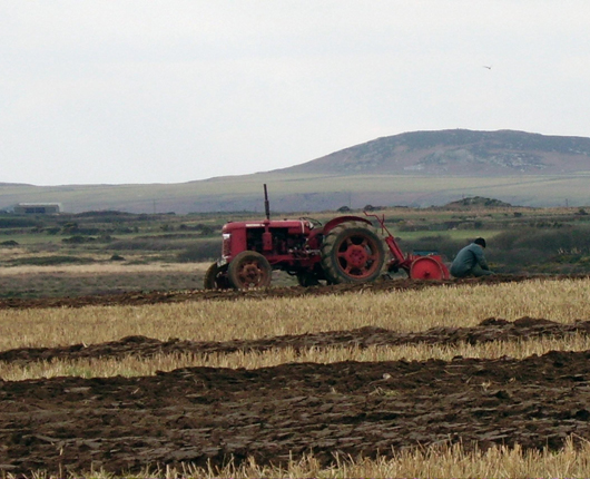 ploughing match