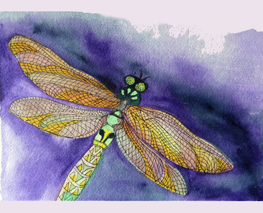 dragonfly