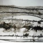 26 snowy fields